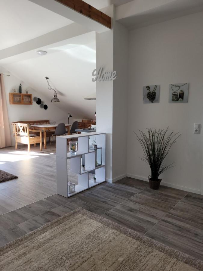 Penthouse N74 Linz 120 Qm Kids Welcome! Exterior photo